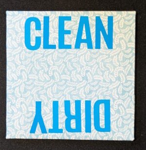 Dishwasher Clean or Dirty