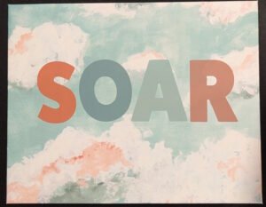 Soar